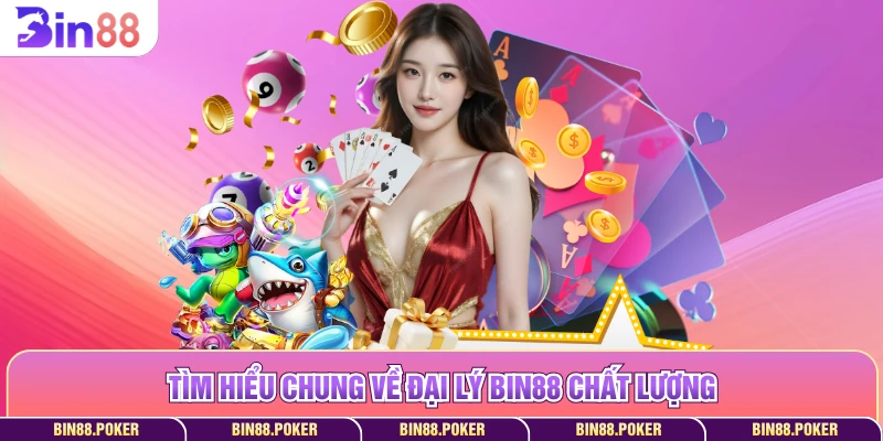 Tìm hiểu chung về đại lý Bin88 chất lượng